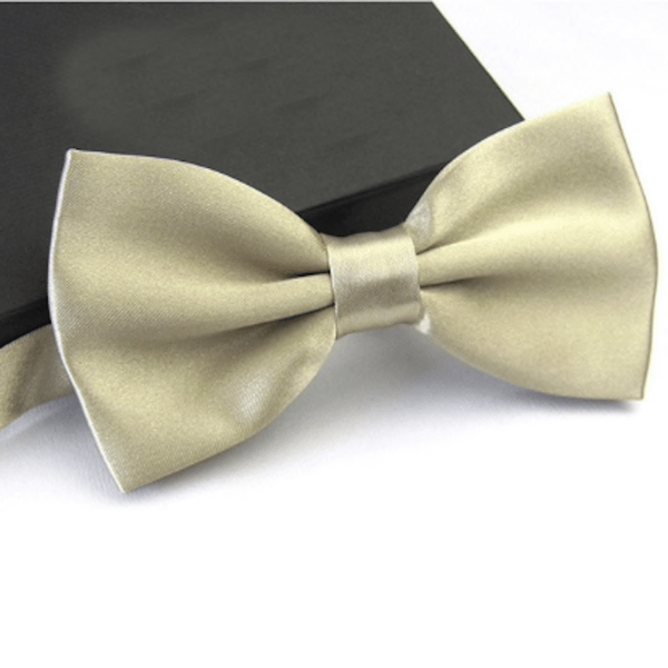 Enfärgad slips, perfekt till kavaj och kostym Beige / guld