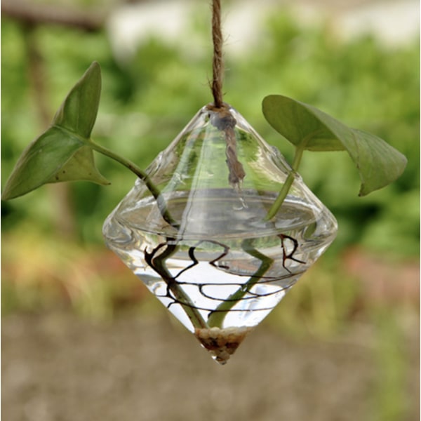 Vas glas romb hänge planta fönster dekoration Genomskinlig