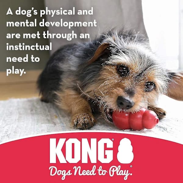 KONG Hundelegetøj, Holdbar Gummiknogle Passer til Store Hunde