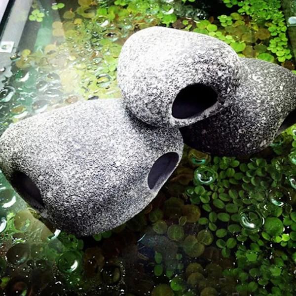 Cichlid Sten Akvarium Klippe Reje Avlshule Gemmested Fisk