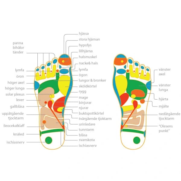 TENS EMS Fodmassage | Cirkulationstræner-AD4-