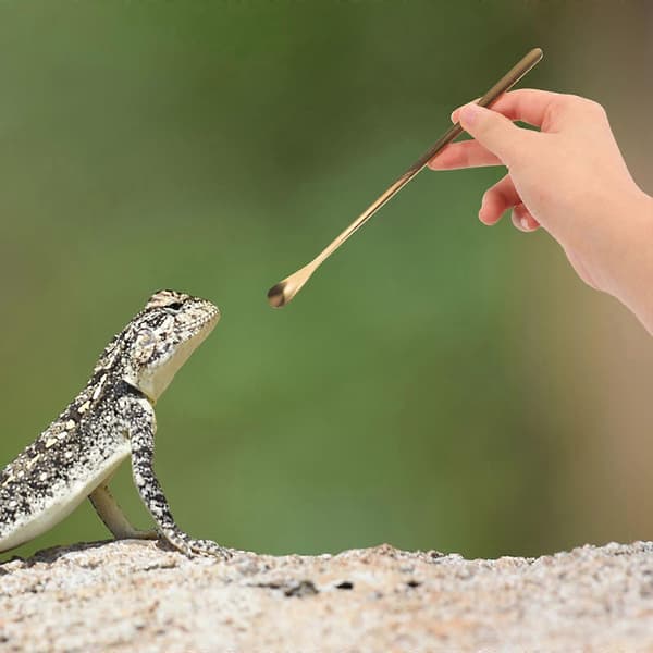 Reptilmatskopa Rostfritt Stål för utfodring 2 st Smådjur Husdjur
