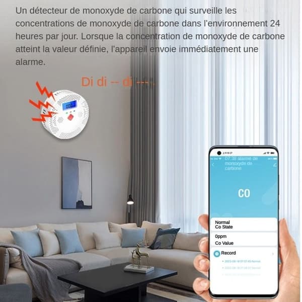 Kolmonoxiddetektor, bärbar gasövervakningssensor, förgiftningslarm, WiFi-version