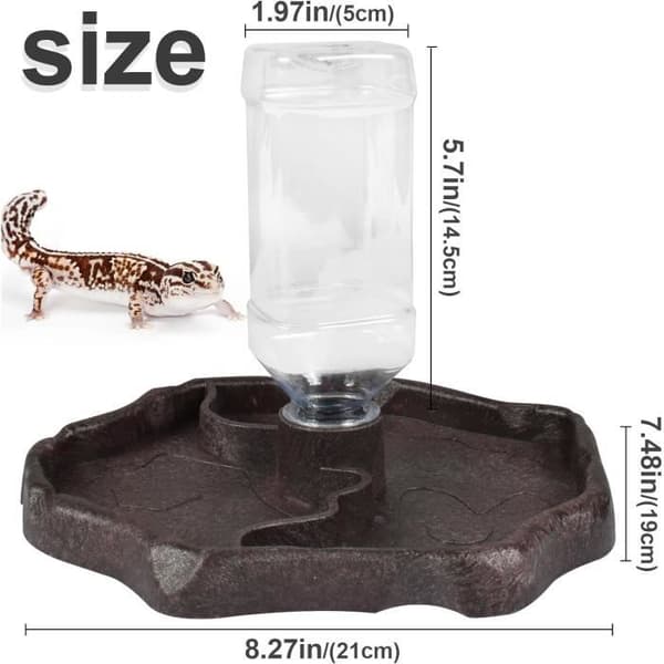 Reptilvattendispenser - 1 styck - 2 i 1 - Sköldpaddsvattenautomat och matare - Hållbar plast