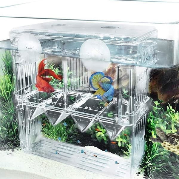 Akvarieodlingslåda - Akryl - 14x8x14cm - Multifunktionell