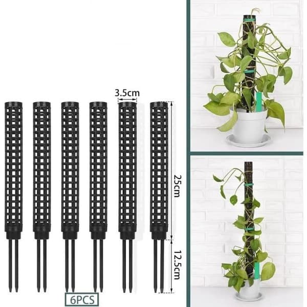 Växtstöd för klätterväxter - 6-pack - Kokosfiber - Sphagnummossa - Robust stöd