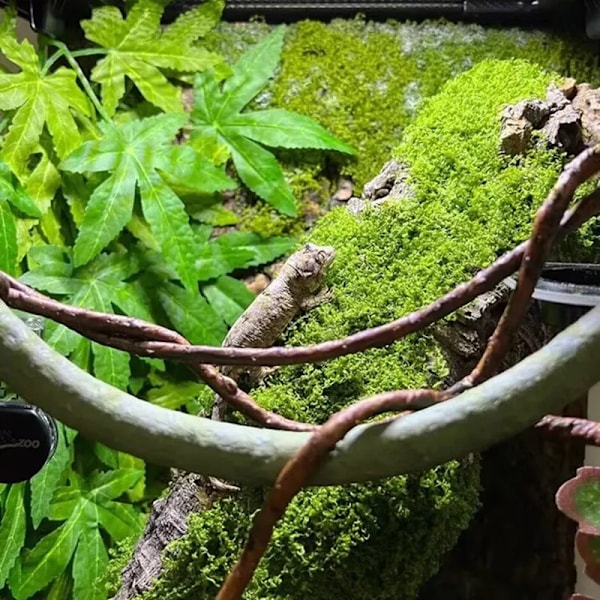 30 g Faske mose kunstig grønn mose til potte planter fe hage tilbehør hjem hage plen gulv pynt