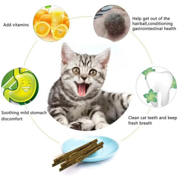 6 kpl luonnollinen Matatabi kissa tikku minttu saavutettu purenta excited sauvat hopeaviini kissan hampaiden puhdistukseen