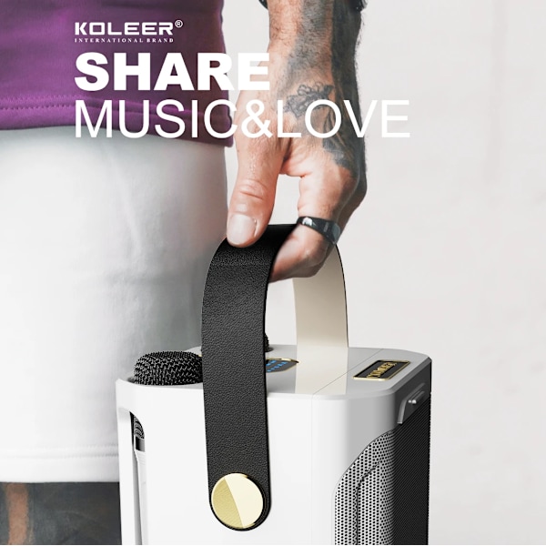 Hög effekt Karaoke Bluetooth Högtalare Bärbar 360 Stereo Surround Vattentät Trådlös Subwoofer med Dubbel mikrofon
