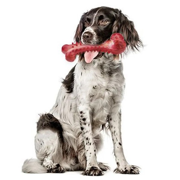 Husdjur leksaker för hund hälsa pipiga leksaker för bruxism hund tillbehör naturligt gummi