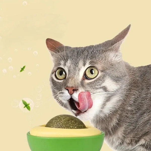 Avokado Kattmynta Katt Leksaker Vägg Ball Vridbar Naturlig Mynta Bular Hälsosamt Ätbart Slickande Bolar