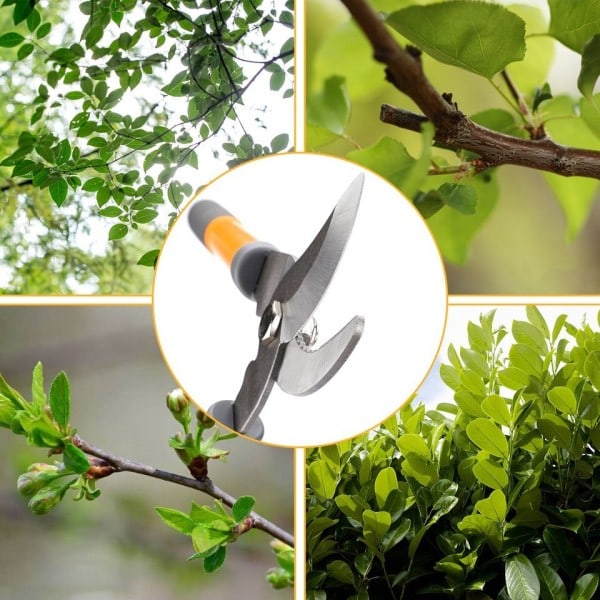 Beskjæring Skjær Hage Verktøy Arbeid sparing saks hagearbeid plante skarp gren saks