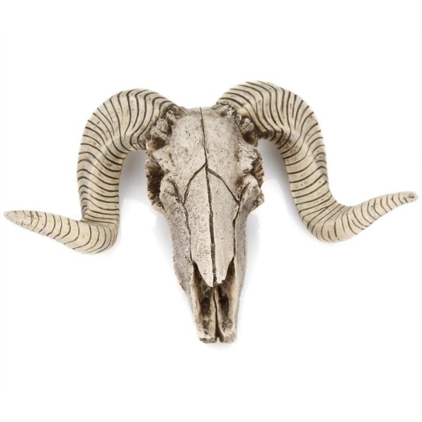 Harpiks Skjelett Vurm Sau Hode Skull Hode Vegg hengende 3D Dyr Longhorn Skulptur Figuriner Håndverk