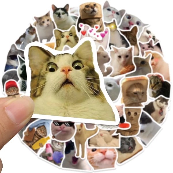 50 stykker Søde Katte Klistermærker Vinyl Vandtætte Sjove Katte Decals