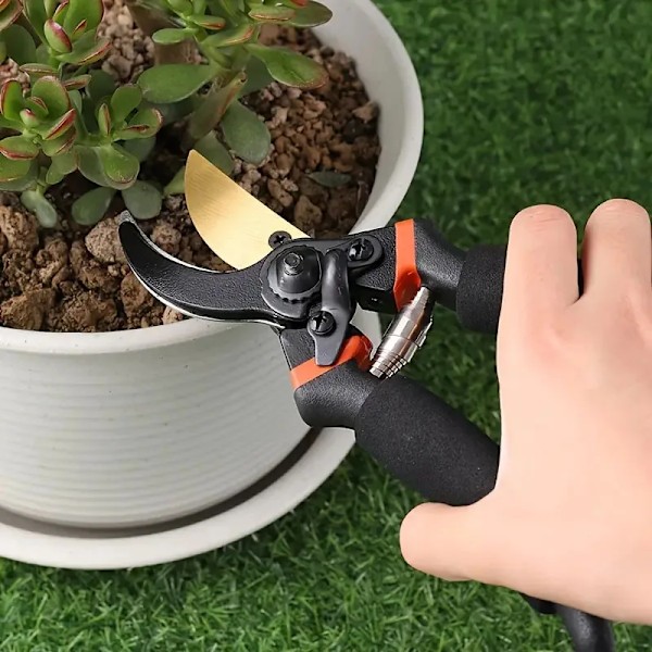 Hage Beskjæring Saks Plante Trim Hagebruk Hånd Beskjæring Busk Hage Saks