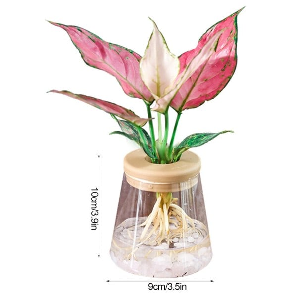 Mini Hydropon Blomster Krukke Hjem Vase Dekor Transparent Imitation Glas Smudfri Plante Krukker