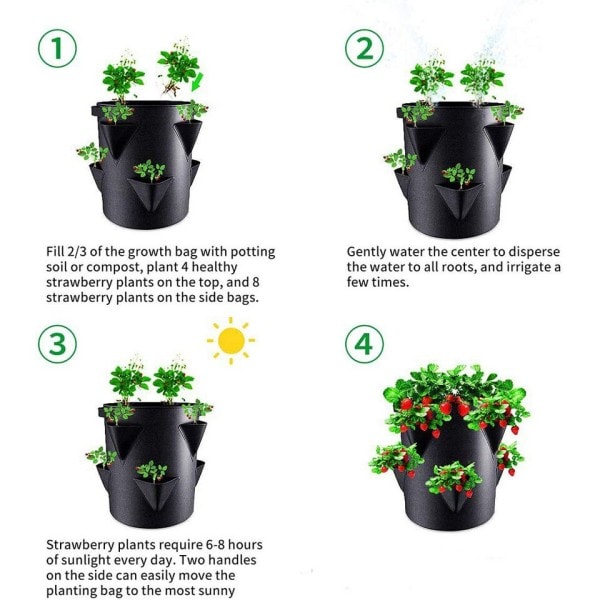 Vår Jordgubbe Odling påse grönsak plantering påse odla kruka växt 5/7/10Gal Grow påse trädgård terrass