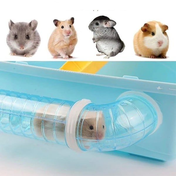 Hamster Rör Kul Och Intressant Leksak För Hamstrar Lätt Att Rengöra Transparent Rör Hamster Tunnel
