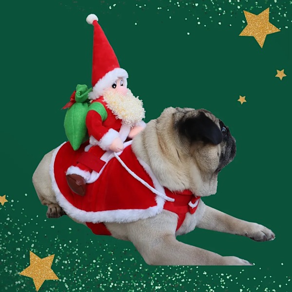 Funky Djur Hund Katt Julkostym Hund Vinter Huvtröja Kläder Kläder Jul Halloween Fest Husdjur Klänning