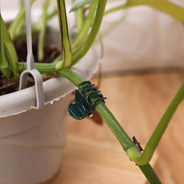 100 stykker Hage Plante Klips Plast Støtte Orkide Stengel Klips for Vine Grønnsaker Blomster Bundt Bundt Gren Klemning Hage verktøy