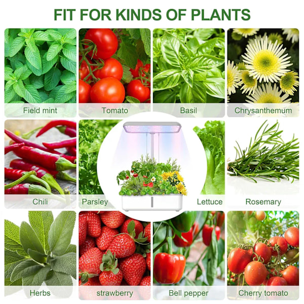 WiFi Plant Hydroponics System Growing LED Light Silless Smart Plantering Maskin
