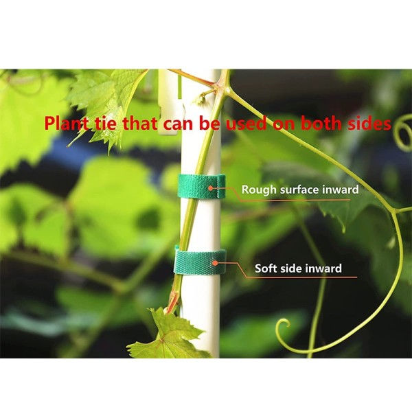 3 Ruller Grøn Have Sejlgarn Plante Slips Nylon Plante Bandage Have Krog løkke Bambus Rand Wrap Støtte Have Tilbehør