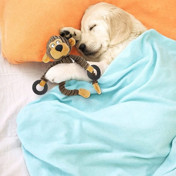 Pipande valp leksaker plysch valp tugga leksaker för barnsjukdomar träning hund leksaker för hundar