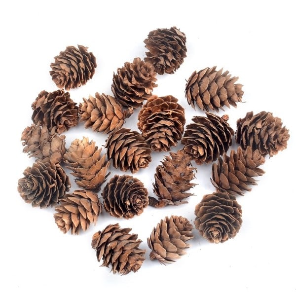 10 stk 3CM  Naturlig Billig Mini furu nøtter Kunstig Fask frukt grønnsak til hjemmet pynt jule tre pynt