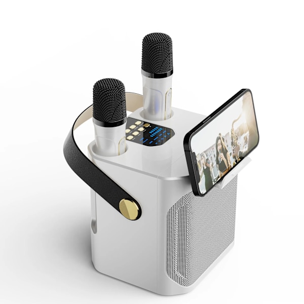 Hög effekt Karaoke Bluetooth Högtalare Bärbar 360 Stereo Surround Vattentät Trådlös Subwoofer med Dubbel mikrofon