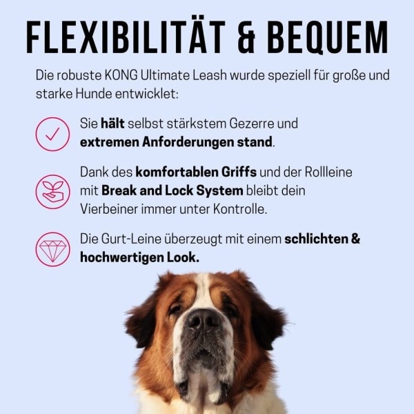 Ultimate Optrækbar Hund Snor Ekstra Large