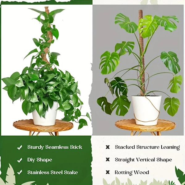 Høy mose stang for planter monstera - 23,6/43,3 tommers bøybare plante staker