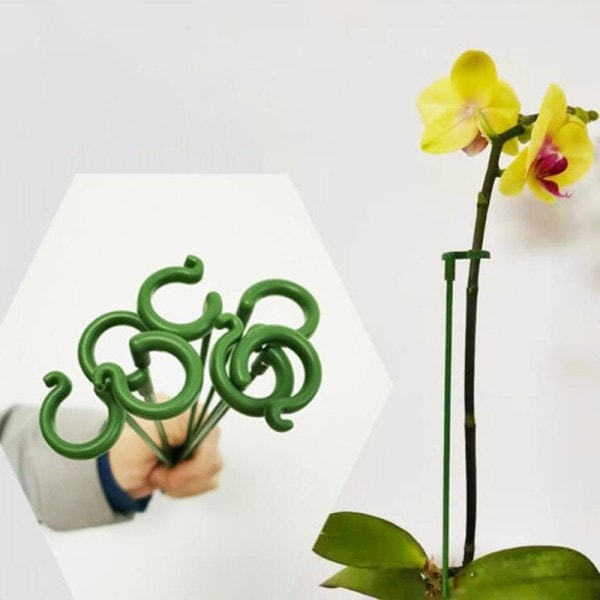 Plast växt stöd blommor ställ återanvändbart skydd fixering verktyg trädgårdsskötsel tillbehör