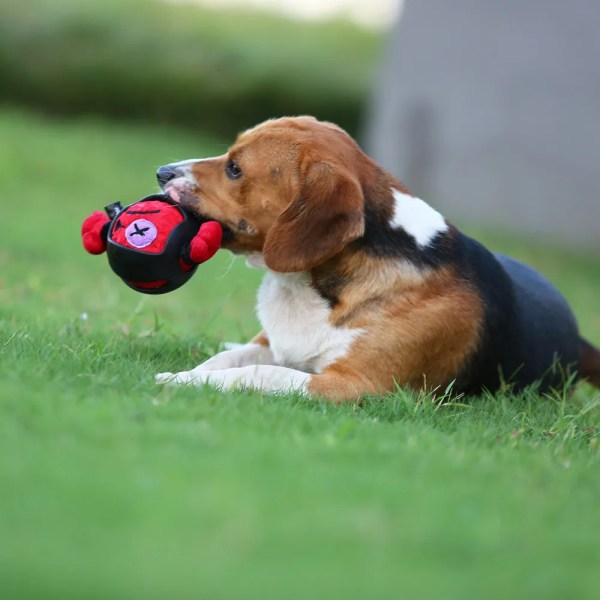 Squeaker Interactive Hund leksaker för aggressiva chewers husdjur valp tugga boll leksaker
