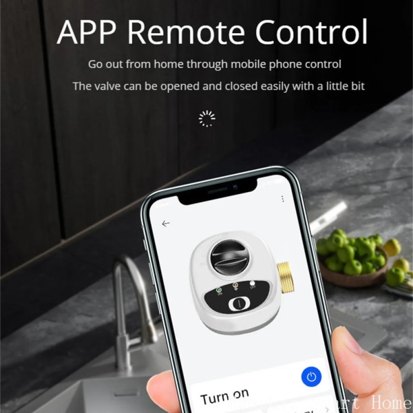 APP WiFi Smart venttiili DN15 /DN20 /DN25 Smart Water / Gas Shutoff Automated Ball venttiili Langaton Ohjaus Alexa Yhteensopiva