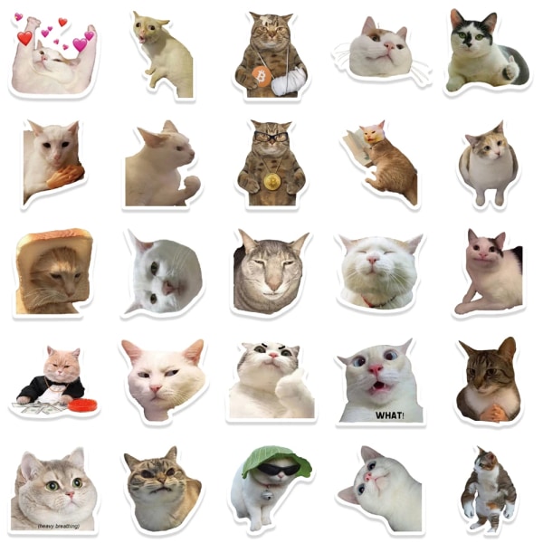 50 bitar söt katt klistermärken vinyl vattentät roliga katter dekaler