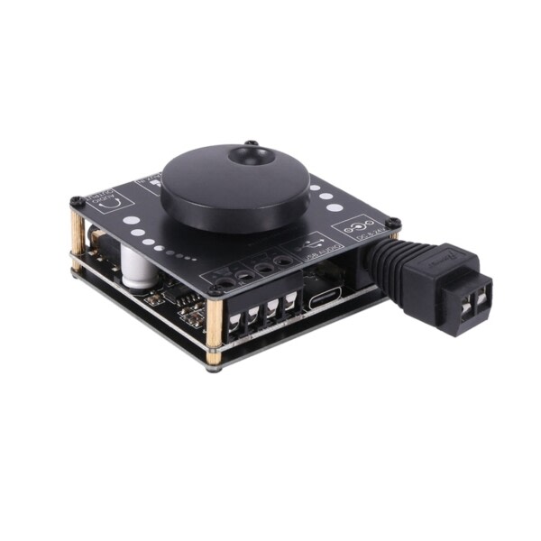 Mini Bluetooth 5.0 50W+50W Trådlös Ljud Ström Digital Förstärkare Kort Stereo Amp 3.5MM AUX USB APP