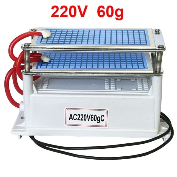220V 60g/h ilma puhdistin otsoni generaattori