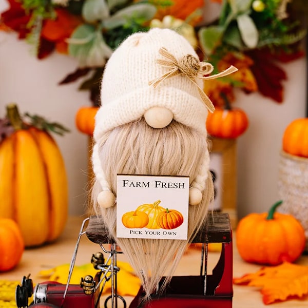 Höst Plysch Elf Dvärgar Dockor Halloween Gnome Dockor Pumpa Solros Jul presenter