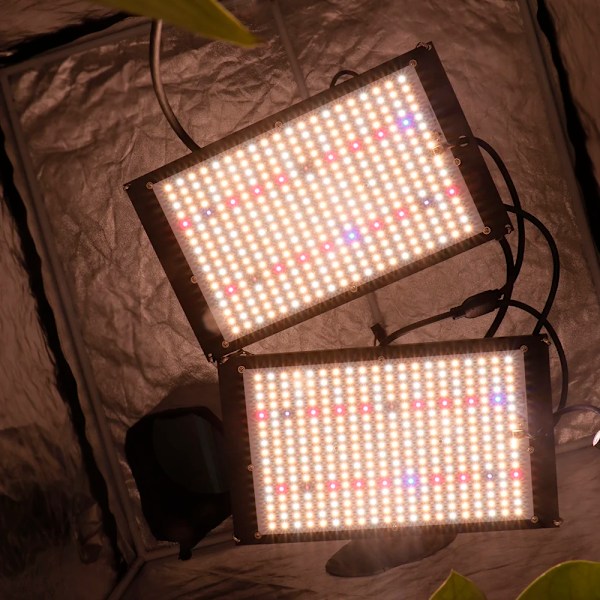 240W Sam-ng LM301h Quantum LED Grow Light Lampe