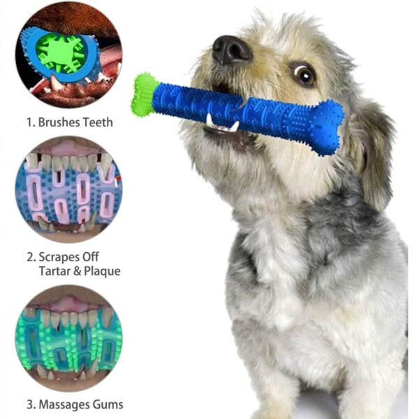 Valp børste hund tannbørste tygge leketøy molar pinne 52b8 | Fyndiq