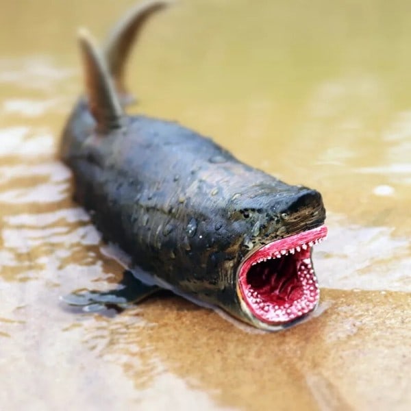 Marine Sea Life Megalodon Action Figur Classic Ocean Dyrs Big hai Fish Modell