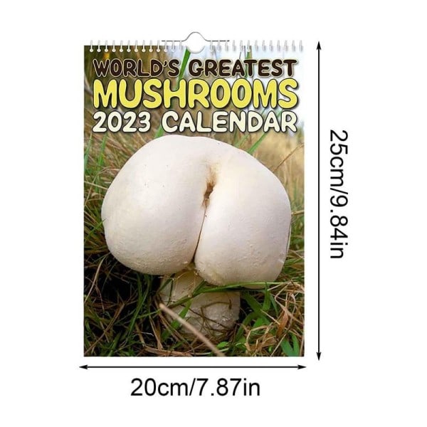 Svamp Hängande Vägg Kalender Lätt att riva av Hängande Vägg Kalender Med Månadsvyer Och Planer