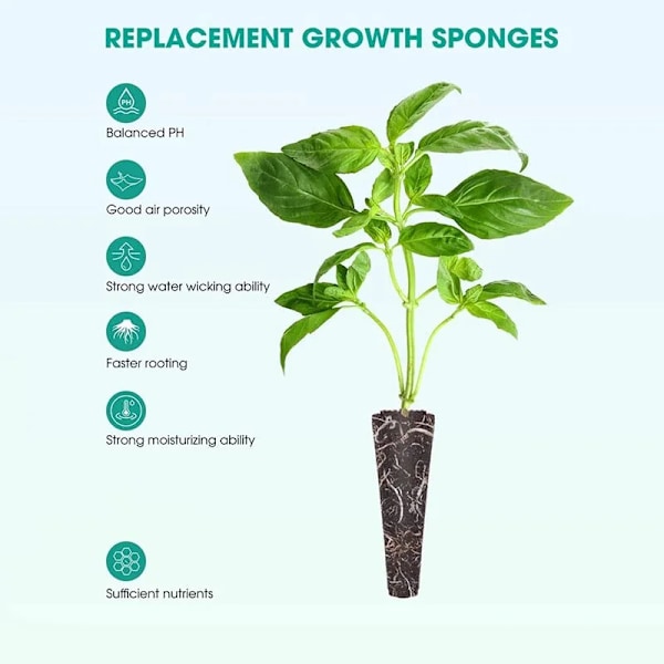 50 bitar Frö Grow Svampar Ersättning Root Tillväxt Svampar Fröplanta Startpluggar Frö