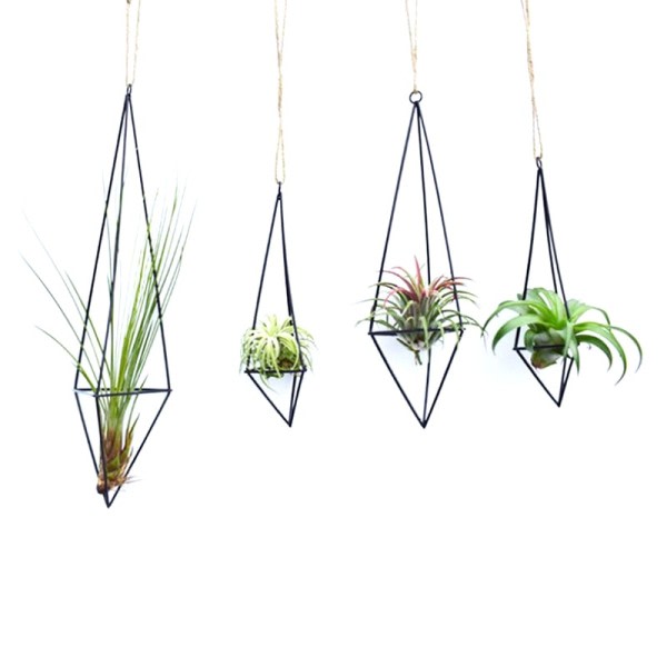 Metal hængende plante potte plante holder til luft planter display med kæder væg hængende geometrisk luft planter stativ