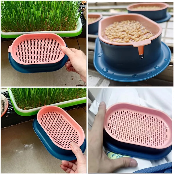 Kæledyr kat spire fad dyrkning potte hydroponisk plante kat græs spiring fordøjelse starter fad drivhus grow box