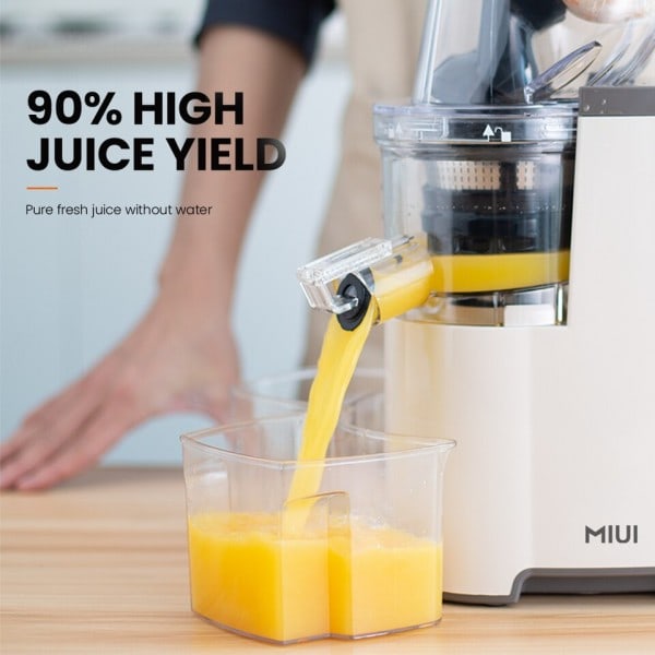 Slow Juicer med rustfrit stål si