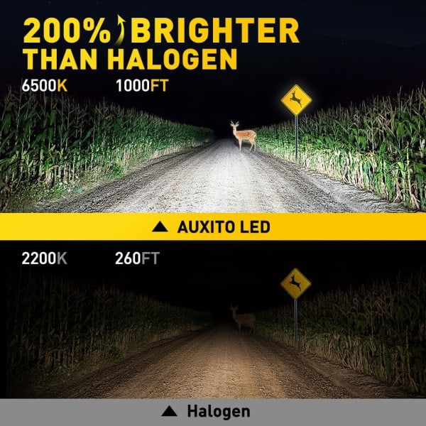 Canbus LED Lys Pære H1 LED Forlygte Mini Størrelse Design Trådløs Blæserløs Til Bil LED Lampe