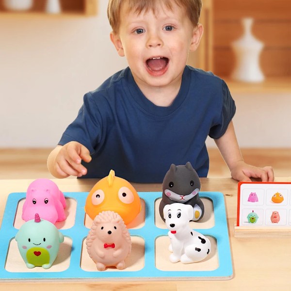 Animal Matching Pelis Lajittelu piilota Ja Etsi lelut