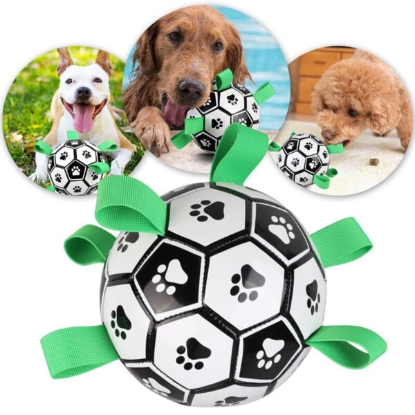 Interaktiv Hund Legetøj Paw Fodbold Legetøj Til Hvalpe store Hunde Udendørs træning
