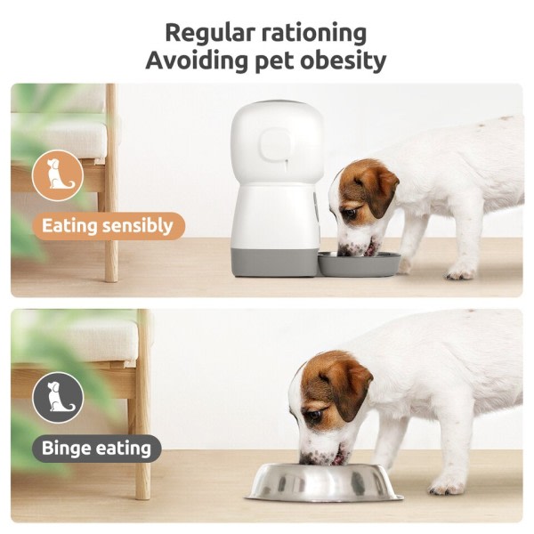 3,5L Kæledyr Automatisk Foder Til Katte Hunde Smart Foder Dispenser Stål Skål Auto Timer